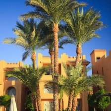 Схема вышивки «египет»