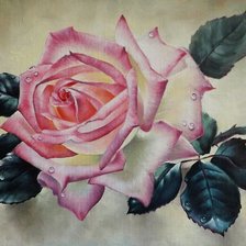 Оригинал схемы вышивки «прекрасная роза» (№597014)