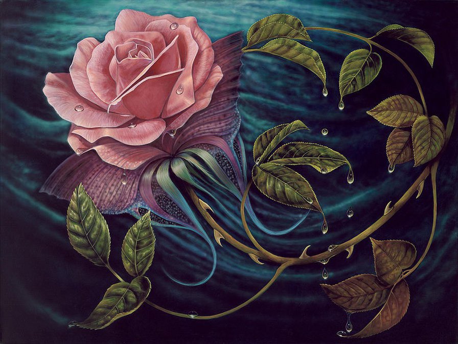 прекрасная роза - розы, роза, капли, бабочка, бабочки, роса, розовые цветы, капля - оригинал