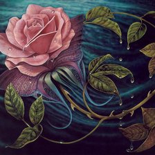 Схема вышивки «прекрасная роза»