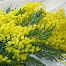 Схема вышивки «мимоза»