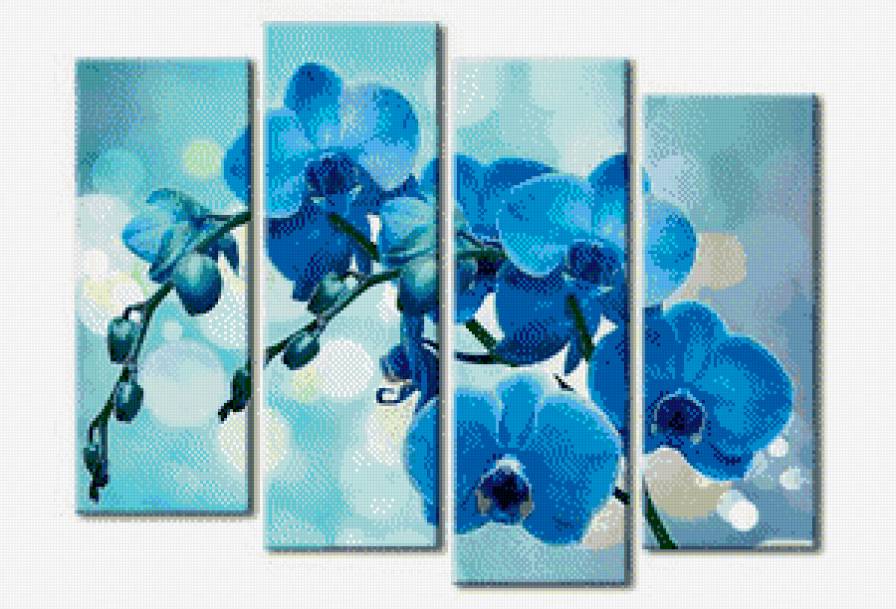 golubaja orhideja - orhideja - предпросмотр