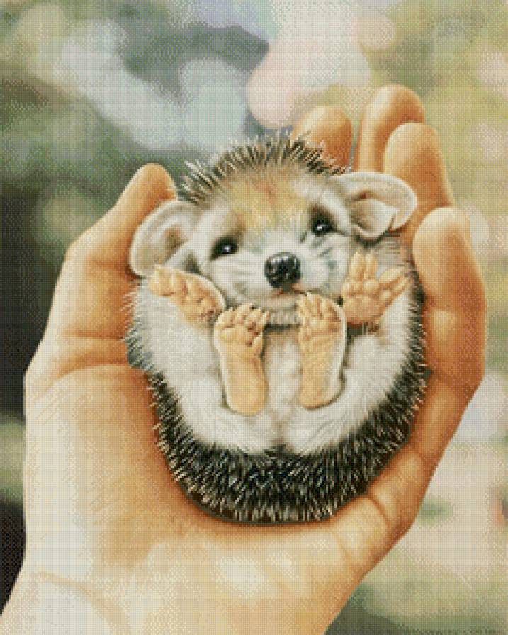 ежик - предпросмотр