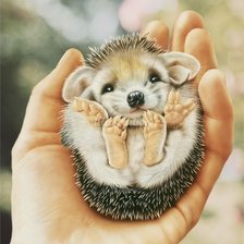 Схема вышивки «ежик»