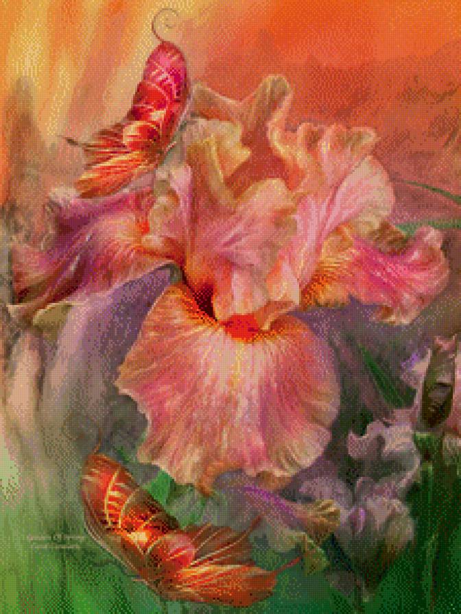 бабочки - предпросмотр