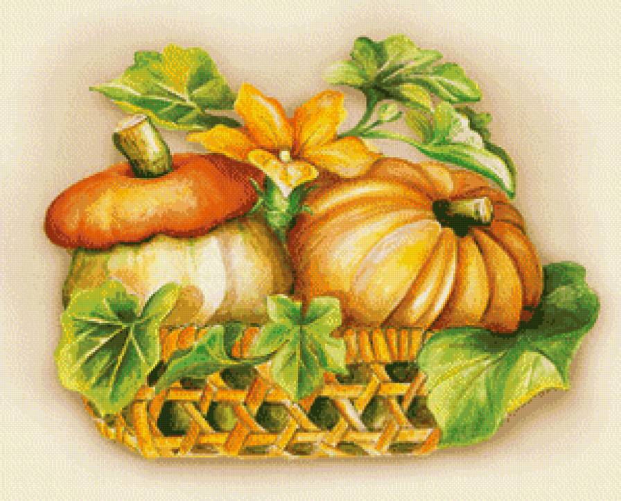 Натюрморт с тыквой - натюрморт, овощи - предпросмотр