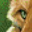 Предпросмотр схемы вышивки «лисонька» (№597323)
