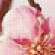 Предпросмотр схемы вышивки «Цветение» (№597519)