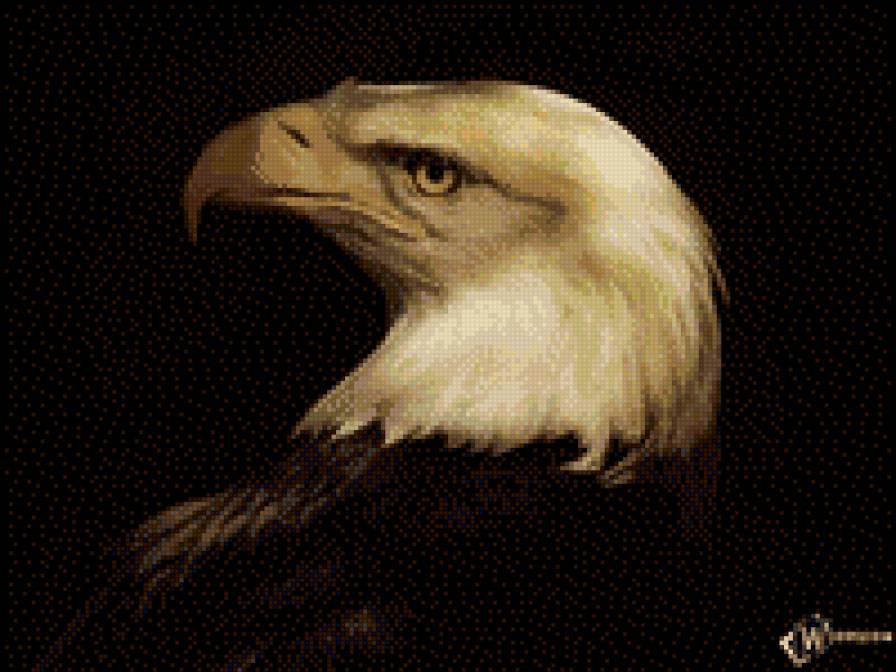 орел - орел - предпросмотр