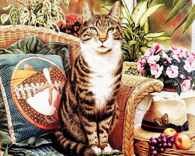 портретогеничный - котики, портрет - оригинал