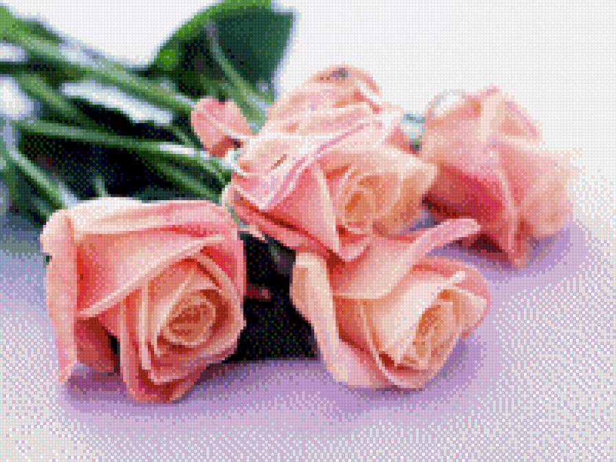 Розы - розы, 8 марта - предпросмотр