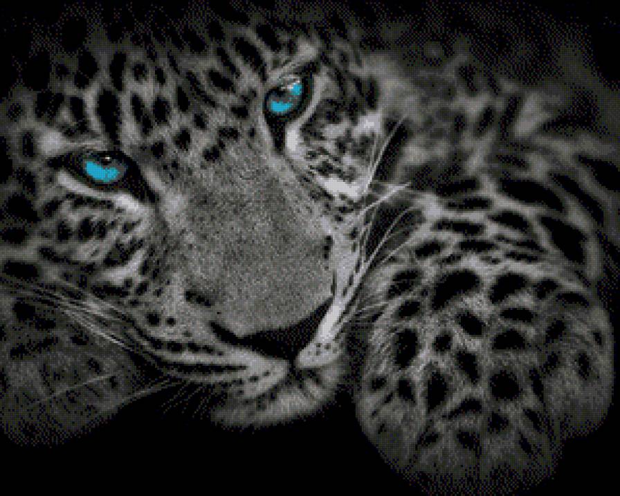 тигр - предпросмотр