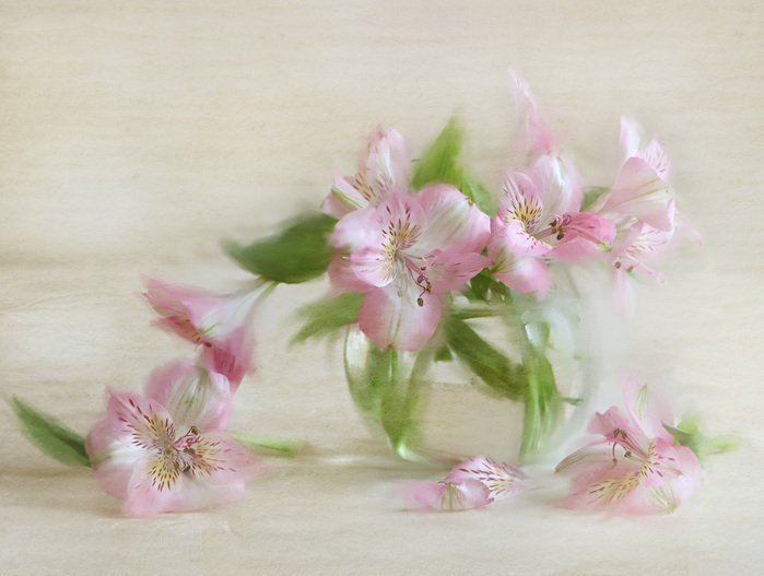 альстельмерия - цветы, букет, ваза - оригинал