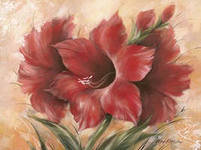 Схема вышивки «гипеаструм»