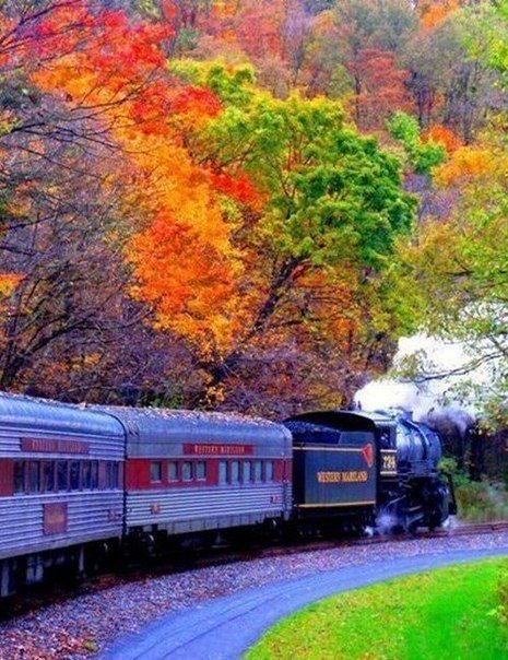 №597898 - поезд, осень, краски - оригинал