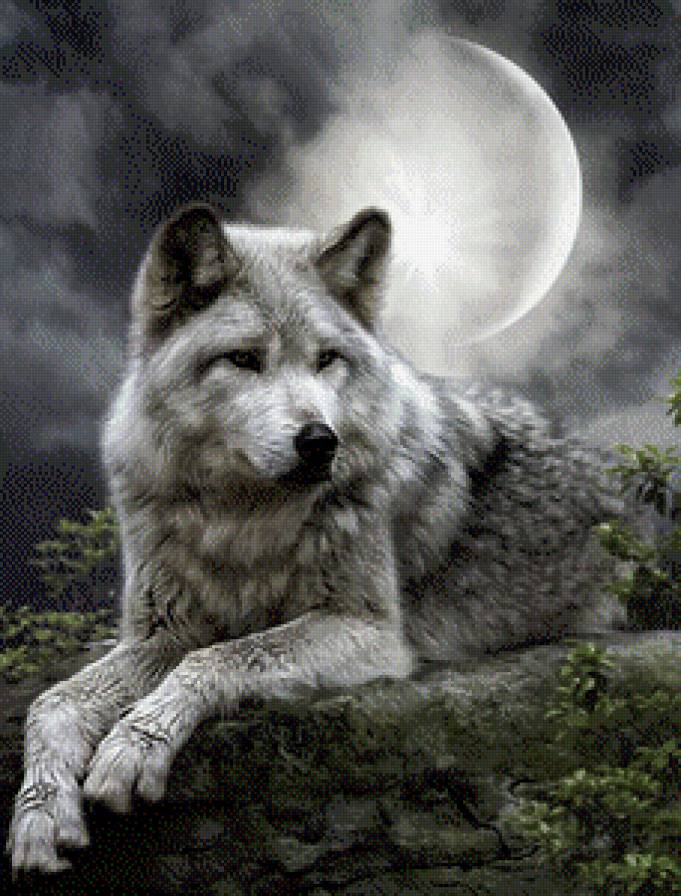 №597964 - предпросмотр