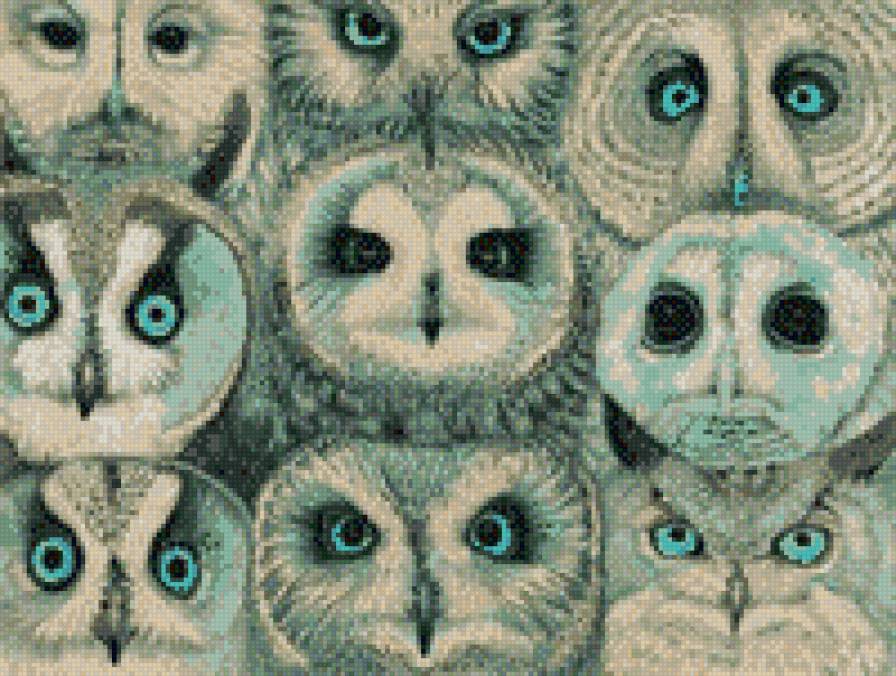 Совушки - птицы, совы - предпросмотр