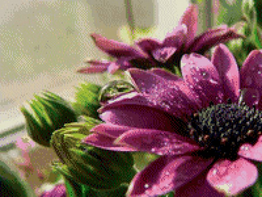 №598194 - предпросмотр