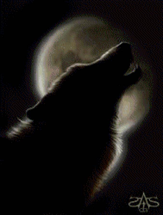 Одиночество - волк, небо, луна, свет - предпросмотр