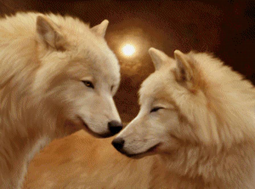 белые волки - картина - предпросмотр