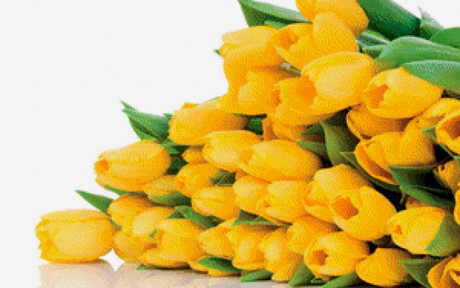 №598361 - предпросмотр