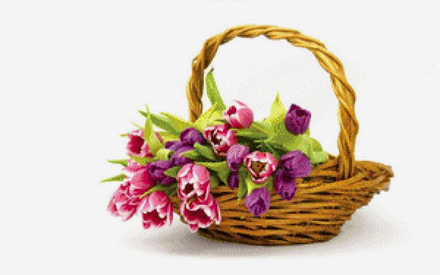 тюльпаны - предпросмотр