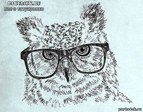 Модная сова - сова - оригинал