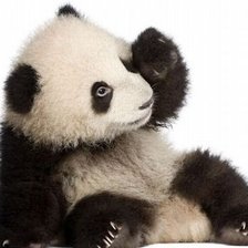 зачем меня разбудили