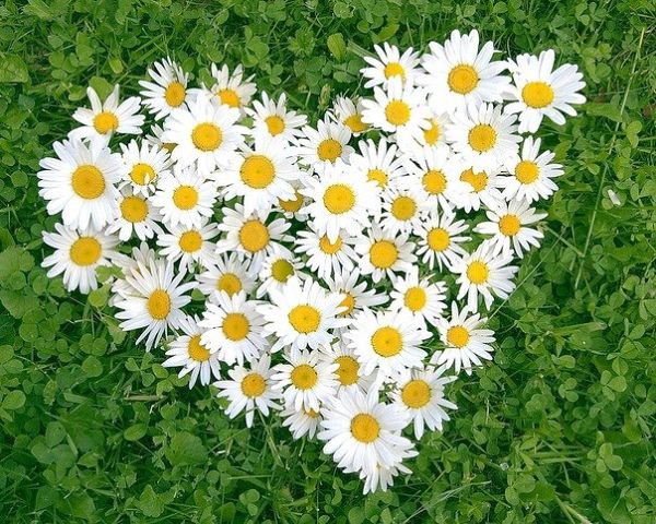 №598438 - оригинал