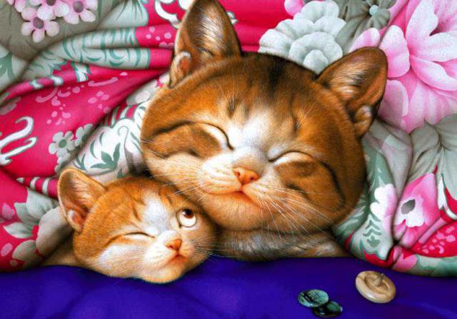 маму я приспал... - котики - оригинал