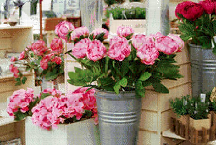 Цветочная лавка - лавка, цветы - предпросмотр