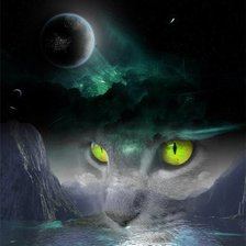 Схема вышивки «лунный кот»