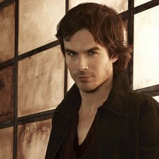 Схема вышивки «Дэймон»