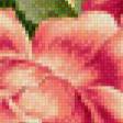 Предпросмотр схемы вышивки «цветы» (№598706)