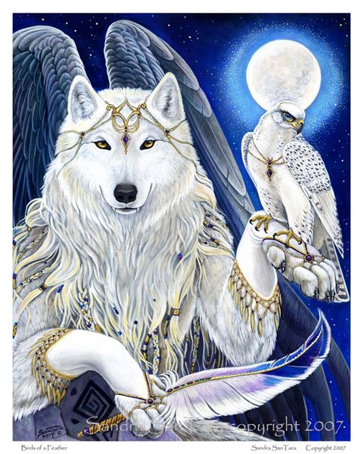 Белый волк с ястребом - животные, волки, тотем, птицы - оригинал