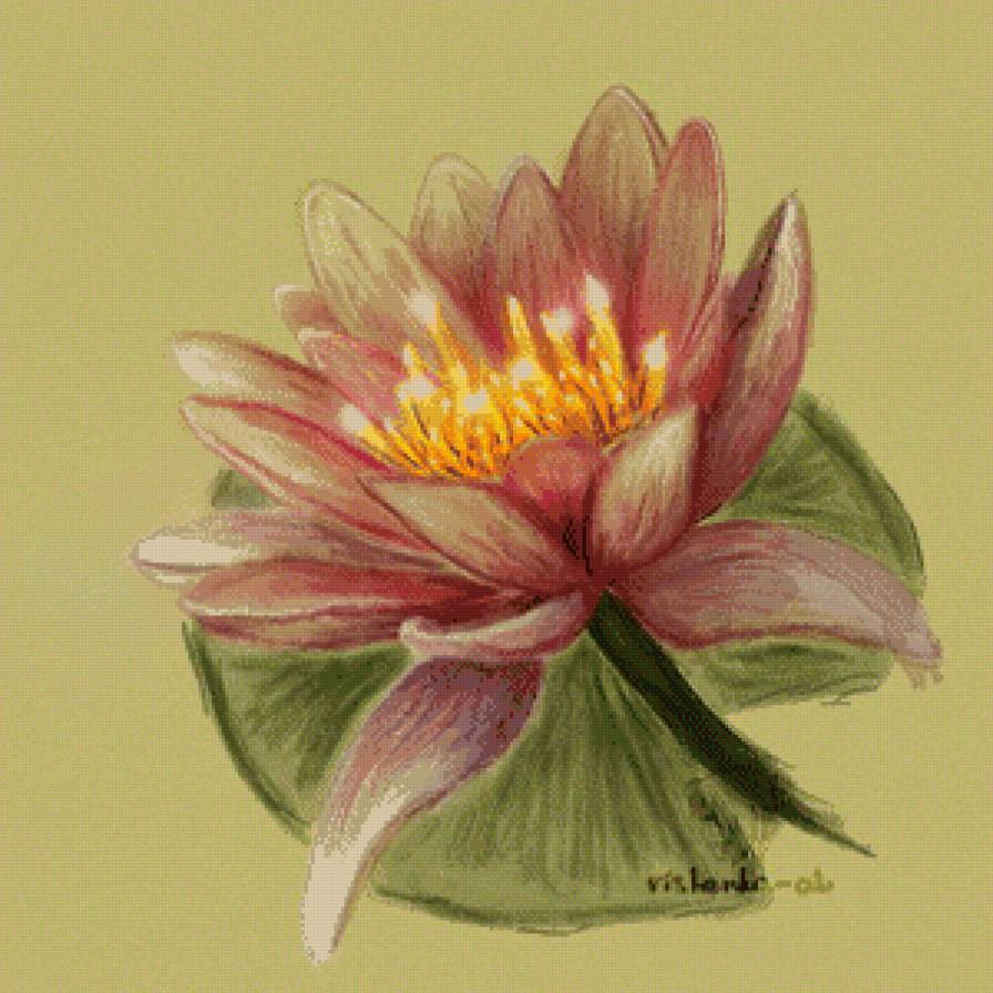 Одинокий лотос - цветы, восток, азия - предпросмотр