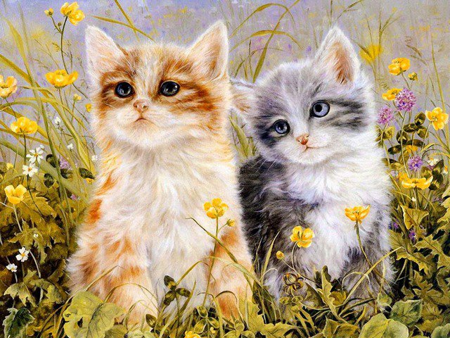 котятки - оригинал