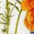 Предпросмотр схемы вышивки «Полевые цветы.Джен Харбон» (№598886)