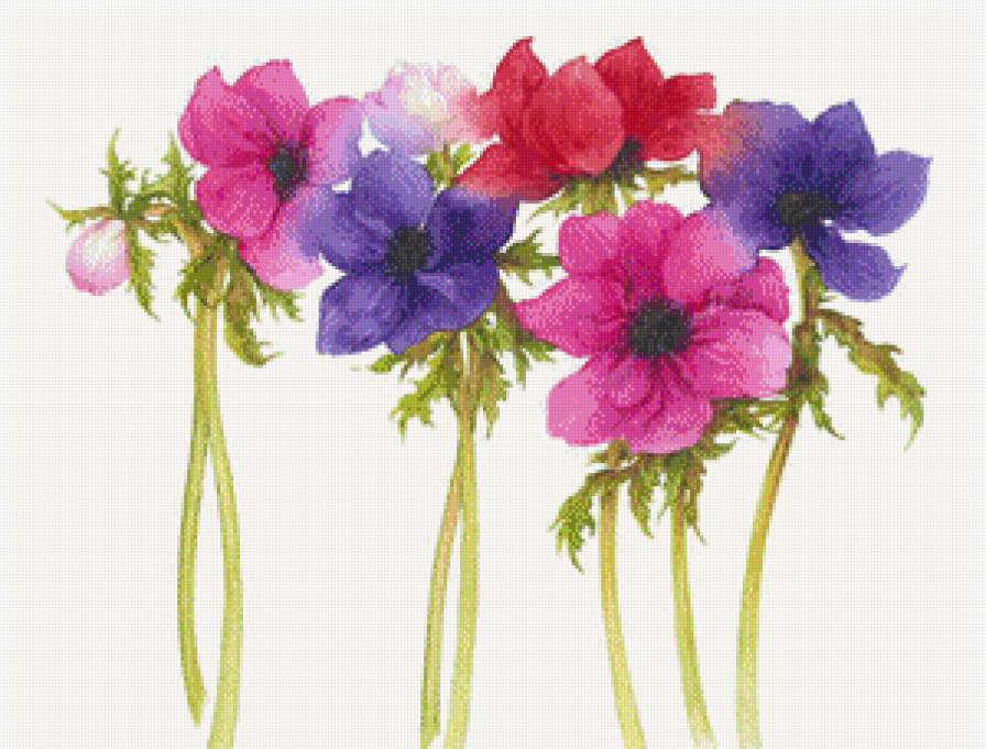 Цветы.Акварель - акварель, букеты, цветы, живопись, джен харбон - предпросмотр