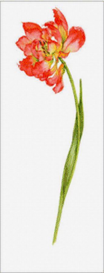 Цветы.Акварель - джен харбон, букеты, акварель, живопись, цветы - предпросмотр