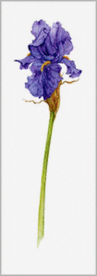 Цветы.Акварель - цветы, джен харбон, живопись, акварель, букеты - предпросмотр