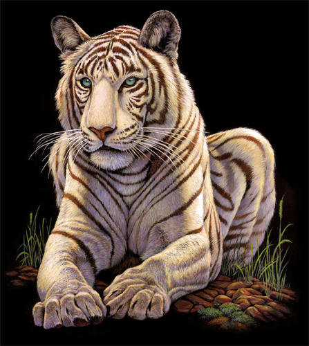 тигр 4 - тигр - оригинал