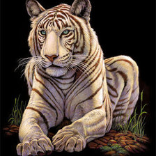 Оригинал схемы вышивки «тигр 4» (№598950)