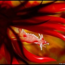 Схема вышивки «Кьюби»