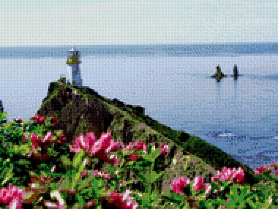 Два брата9 - предпросмотр