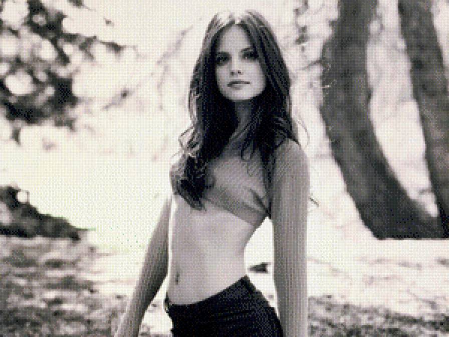 №599161 - предпросмотр