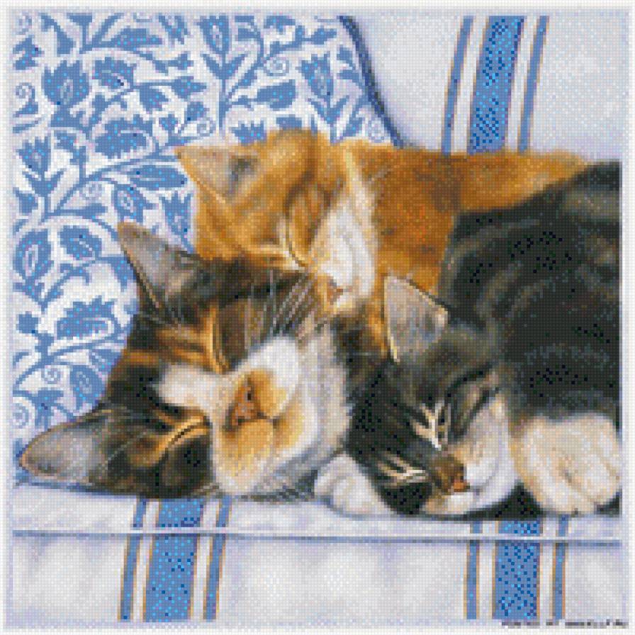 коты - предпросмотр