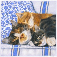 Схема вышивки «коты»