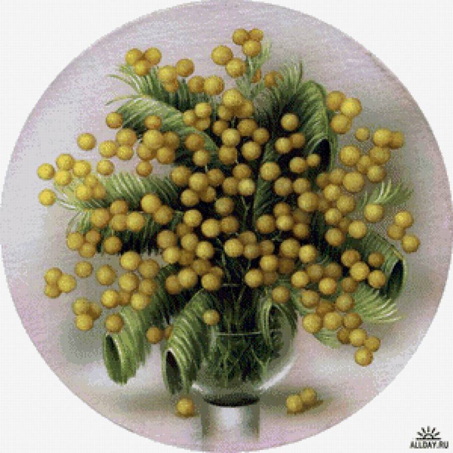 Мимоза - цветы, натюрморт - предпросмотр