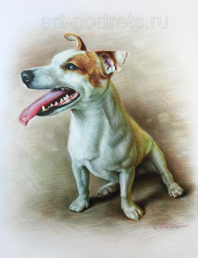 Песик - собаки, животные - оригинал